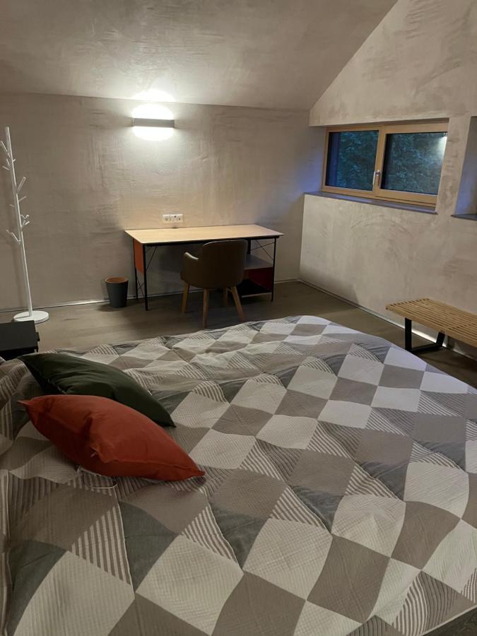 רמסאו אם דכשטיין Chalet Dachstein מראה חיצוני תמונה