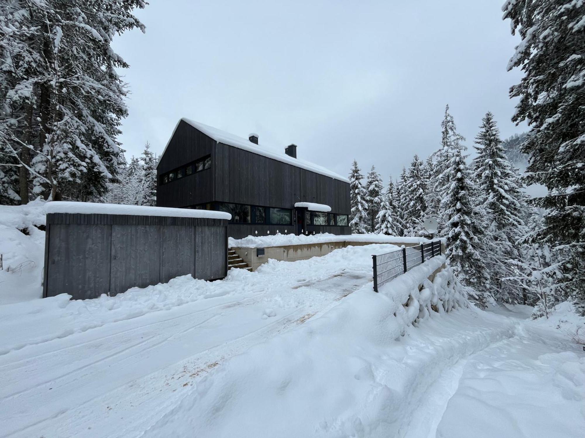 רמסאו אם דכשטיין Chalet Dachstein מראה חיצוני תמונה