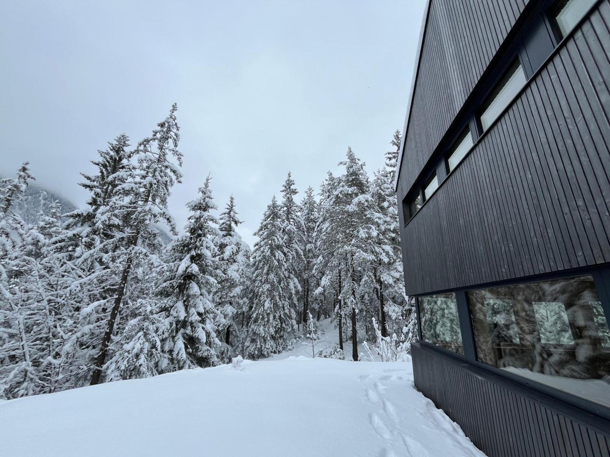 רמסאו אם דכשטיין Chalet Dachstein מראה חיצוני תמונה